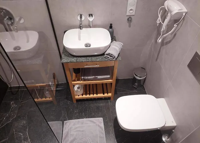 Max Przy Zamku Apartment